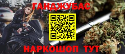 сатива Пенза