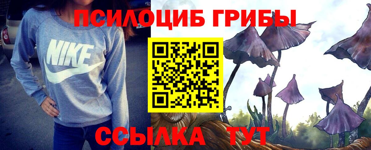 Галлюциногенные грибы Psilocybe Ростов Великий