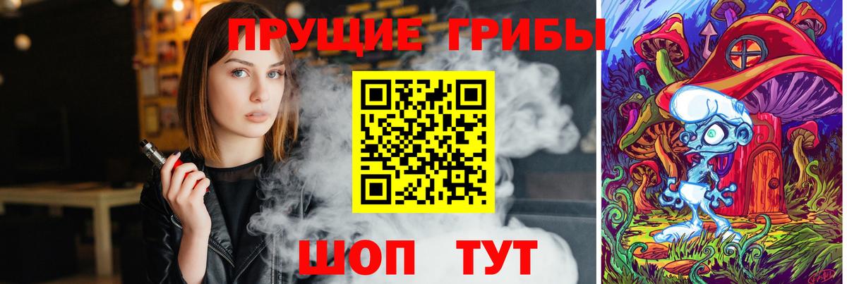 что такое   Вход с VPN  Ростов Великий  Галлюциногенные грибы Psilocybe 